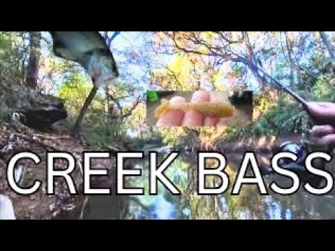 Midweek Creek Bass Fishing – Swam for These😂 (Texas Wade)