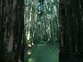 【異世界神社】行ってみたいスポットはありますか?