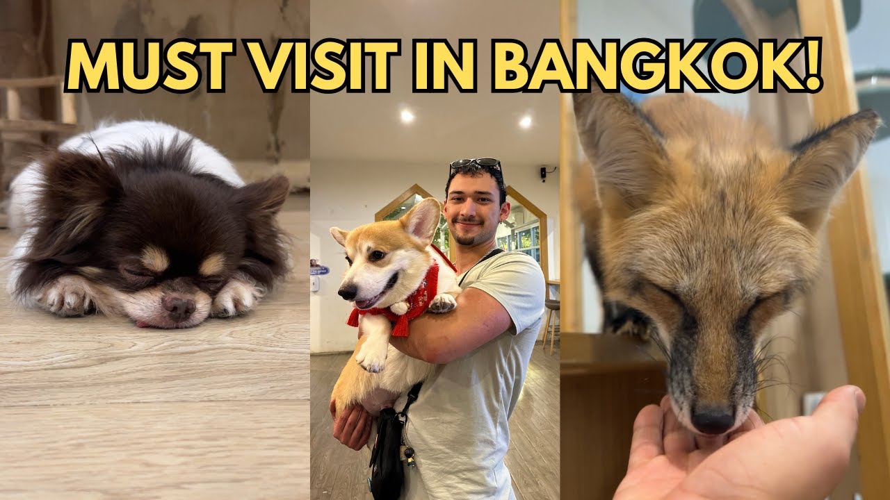 Bangkok's CUTEST Animal Cafe! 🐶🦝 Visiting Little Zoo Cafe & Terminal 21!