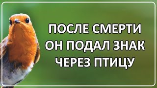 016 После Смерти Он Подал Знак Через Птицу