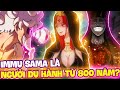 IMMU-SAMA LÀ KẺ DU HÀNH TỪ QUÁ KHỨ?! | MỤC ĐÍCH THẬT SỰ CỦA IMMU-SAMA LÀ GÌ?!