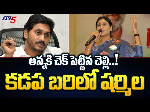 YS Sharmila Contesting From Kadapa | AP Congress Candidate List |  YS Jagan | TV5 News - TV5NEWS