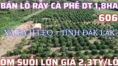 BÁN LÔ RẪY CÀ PHÊ DT 1,8HA ÔM SUỐI LỚN, CÓ NHÀ CÓ GIẾNG, NGUỒN THU MẠNH GIÁ 2,3TỶ, LH:0777.68.1368