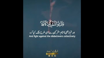 4️⃣منها أربعة حرم🌼🍃 سورة التوبة:٣٦|أحمد النفيس|Surah at Taubah:36|Ahmed an Nufais