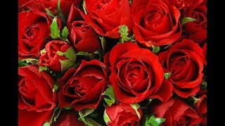 Егор Крид в новом клипе 'Миллион алых роз' Егор Крид в новом клипе 'Миллион алых роз'