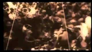 Life of Ernesto Che Guevara Part 4