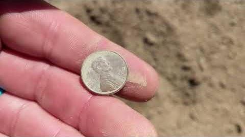 Metal Detecting | Nokta Simplex Plus | Dillon State Park Beach