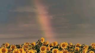 Download Mp3 Kembalilah-Andre Kandey || (Gilang.Gix) Gudang lagu Download Mp3 Kembalilah-Andre Kandey || (Gilang.Gix)