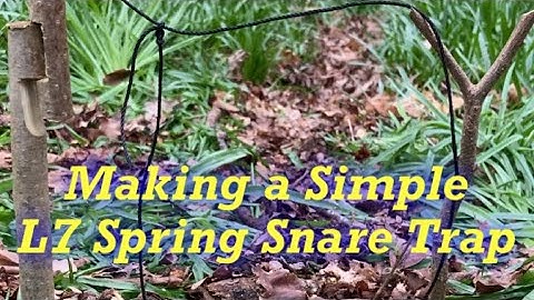 Bushcraft - Making a Simple L7 Triggered Spring Snare Trap! #trap #survival #hunting