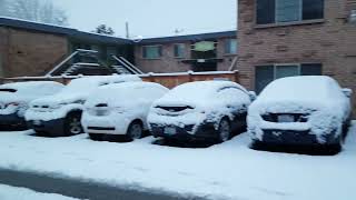Snow day in Seattle (2)
