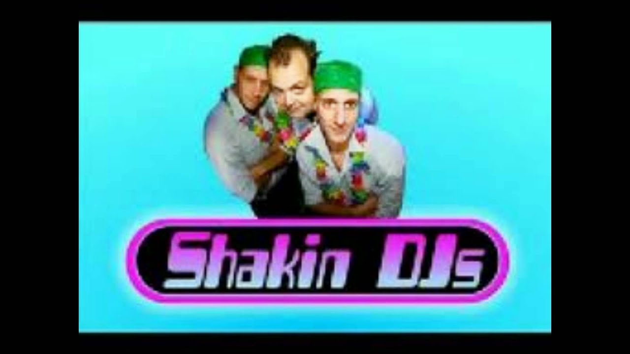 Shakin dj - val in de snie