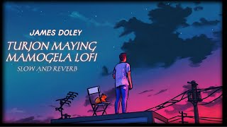 Video thumbnail of "TURJON MAYING MAMOGELA LOFI SONG SLOW AND REVERB (JEMES DOLEY)"