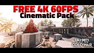 Free Raid 4k 60FPS Cinematic Pack | Black Ops Cold War