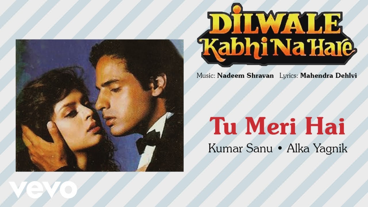 Tu Meri Hai Best Audio Song - Dilwale Kabhi Na Hare|Rahul Roy|Kumar Sanu|Alka Yagnik