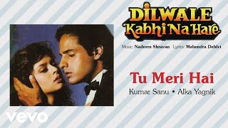 Tu Meri Hai Best Audio Song - Dilwale Kabhi Na Hare|Rahul Roy|Kumar Sanu|Alka Yagnik