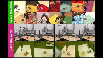 Sim2Real View Invariant Visual Servoing by Recurrent Control