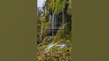 (ربّنا آتِنا من لدنك رحمة) ماتيسر من سورة الكهف للقارئ الشيخ أحمد العجمي ♥️🌿