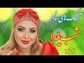 آهنگ های شاد شب یلدا با خوانندگی فرشید حاضری Yalda Night Persian Music 