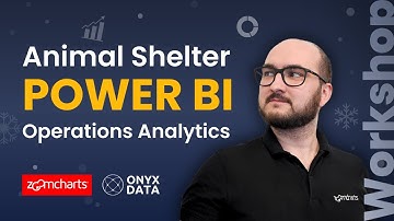 How to Create Operations Power BI Dashboard with Real Dataset from Animal Shelter