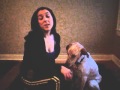 How to teach your dog to Beg or Sit Pretty How to teach your dog to Beg or Sit Pretty