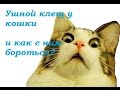 Как лечить котенка от ушных клещей в домашних условиях?