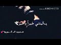 يـالـيـتـنـي طـيـر واطـيـر تصميمي لايكك الوصفف