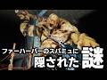 【Fallout4】意外と知らない!? 特定の仲間がいる時だけ聞けるエリクソンとの特別な会話!他【小ネタ】【ゆっくり実況】