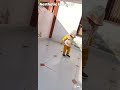 Rajnikanth special / The Boss / Desi boy / Cute baby / funny baby / Aesthetic Haryanvi