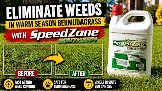How to Kill Spring Weeds with SpeedZone Southern Safe Warm Season Grass Weed Control