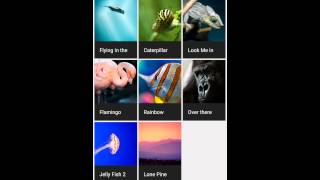 ActivitySceneTransitionBasic Sample Project - Shared element TextView bug