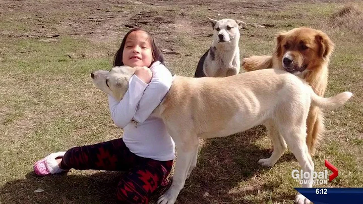 Girl says dogs protected her when she got lost in northern Alberta - DayDayNews