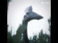 Prehistoric planet edit