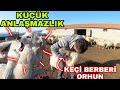 ASENA VS TORAMAN | KEÇİ BERBERİ ORHUN FULL BAKIM SAÇ SAKAL