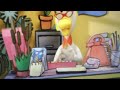 Youtube Thumbnail title