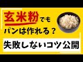 玄米粉でパン作り 失敗する原因はコレ!