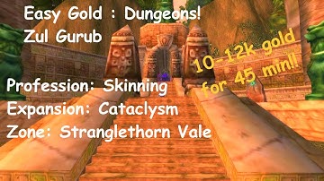 Easy gold Dungeon Zul Gurub!