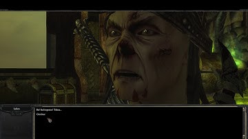 Divinity II: Developer