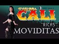 Tierra cali   ricas moviditas xitos de bailes