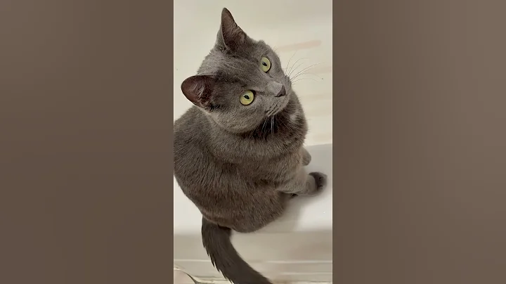 Watch the video about Lady of the Bathtub 🎀🫧