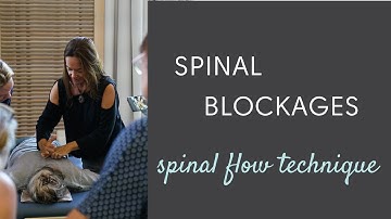Spinal Flow - Blockages