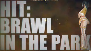 HIT: brawl in the park