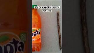 Explanation In The Comments