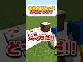 本物のブロックはどっち??4 #マイクラ