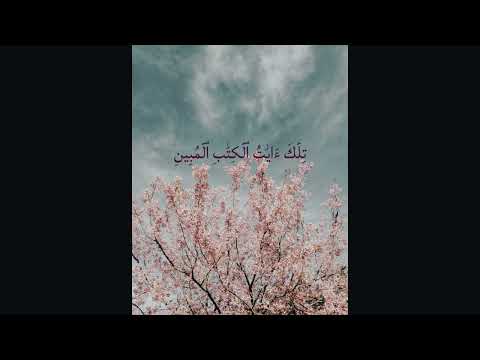 سورة الشعراء الايات 1 4 القارئ الشيخ المنشاوي