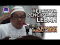 TAZKIRAH : Lebah Bukti Maha Kreatifnya Allah - Ustaz Shamsuri Ahmad