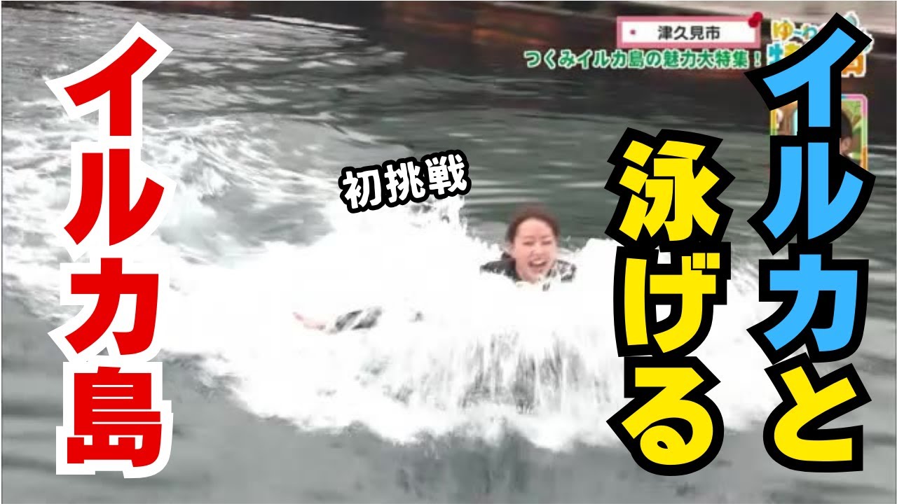 迷っている人も一度は体験を　イルカと泳ぐ「つくみイルカ島」