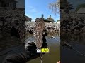 Vintage Ice Skate Found in River! Is it Worth Anything? #shorts