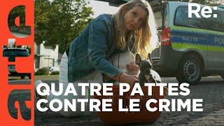 Sur la piste des trafiquants de chiots | ARTE Regards