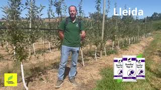 #Abonado del #Manzano en una nueva #plantación de extensión importante