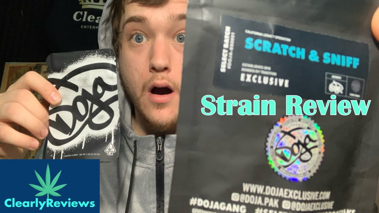 Scratch and Sniff By dojaexclusive5612 STRAIN REVIEW208 YouTube